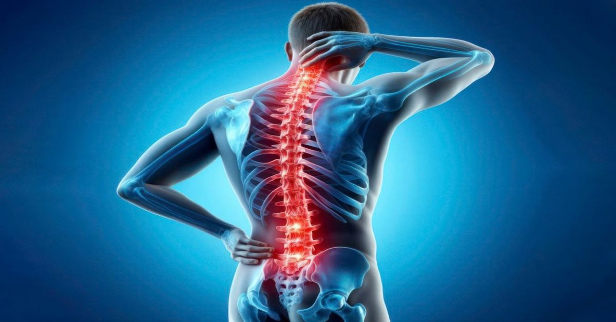 What is Spine Pain?